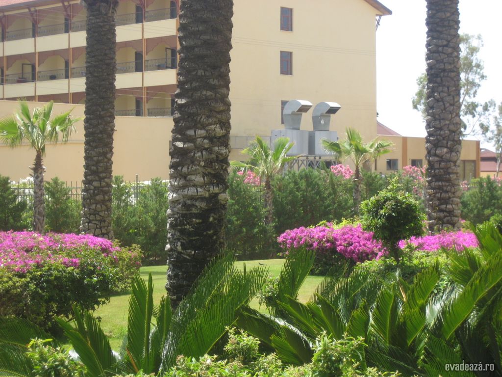 Hotel Silence Beach resort | 2